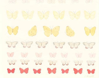 Butterfly pattern primary colors