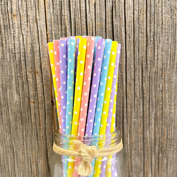 Pastel Paper Straw Etsy