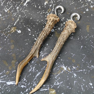 Real Antler Taxidermy Viking Pagan Ear Weights Forrest Ceeper image 6