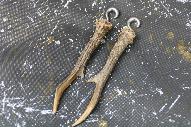 Real Antler Taxidermy Viking Pagan Ear Weights Forrest Ceeper image 6