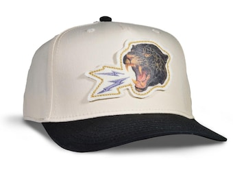 Panther Bolts Toney Hat: Two-tone Baseball Cap