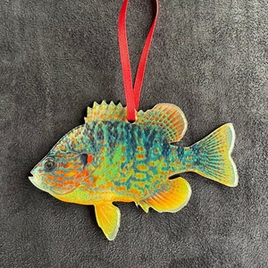 PUMPKINSEED Acrylic Christmas Fish Ornament | BLUEGILL SUNFISH | Fly Fishing | Fisherman Gift... Illustration © Joseph Tomelleri