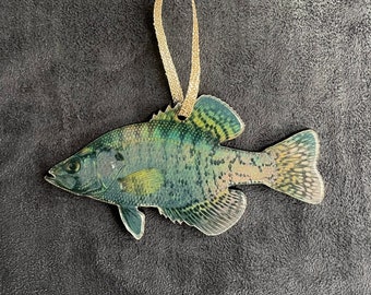 WHITE CRAPPIE Acrylic Christmas Fish Ornament | SUNFISH | Fly Fishing | Fisherman Gift... Illustration © Joseph Tomelleri