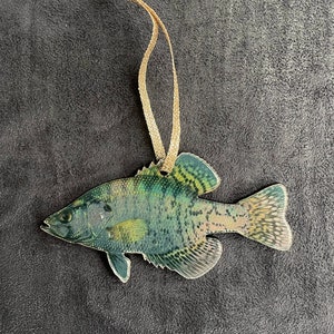 WHITE CRAPPIE Acrylic Christmas Fish Ornament | SUNFISH | Fly Fishing | Fisherman Gift... Illustration © Joseph Tomelleri