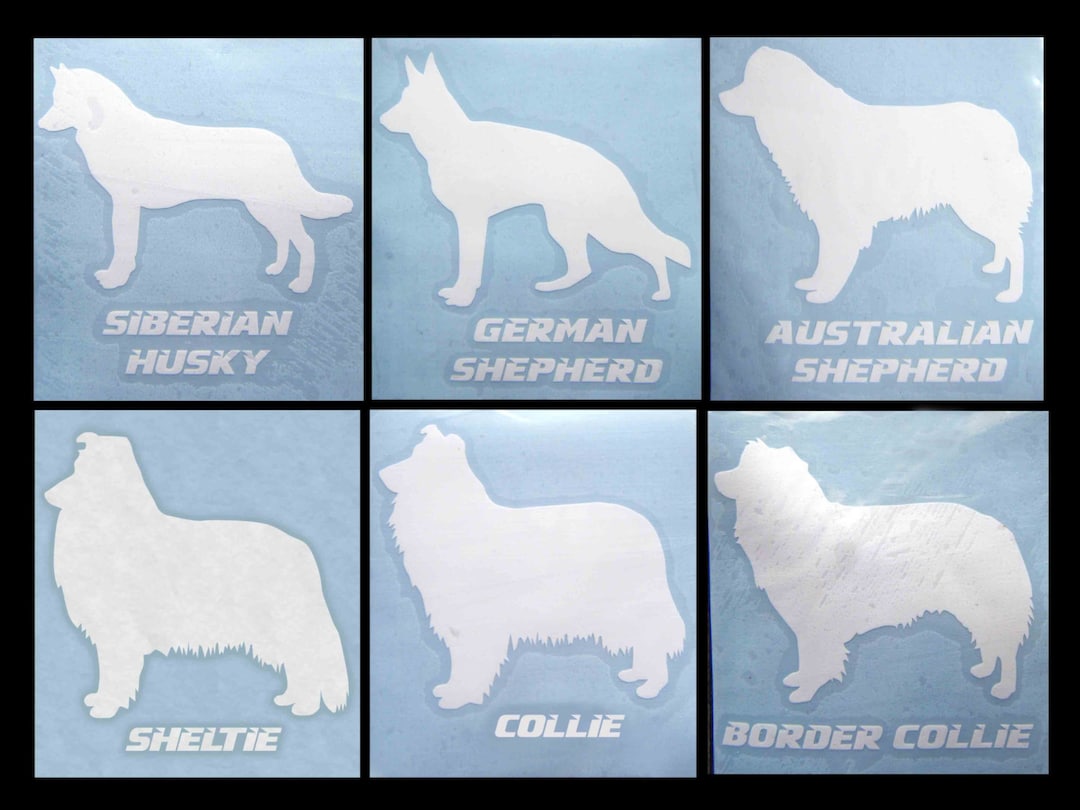 Decal DOG Siberian Husky, German Shepherd, Australian Shepherd,  Sheltie, Collie, Border Free Shipping