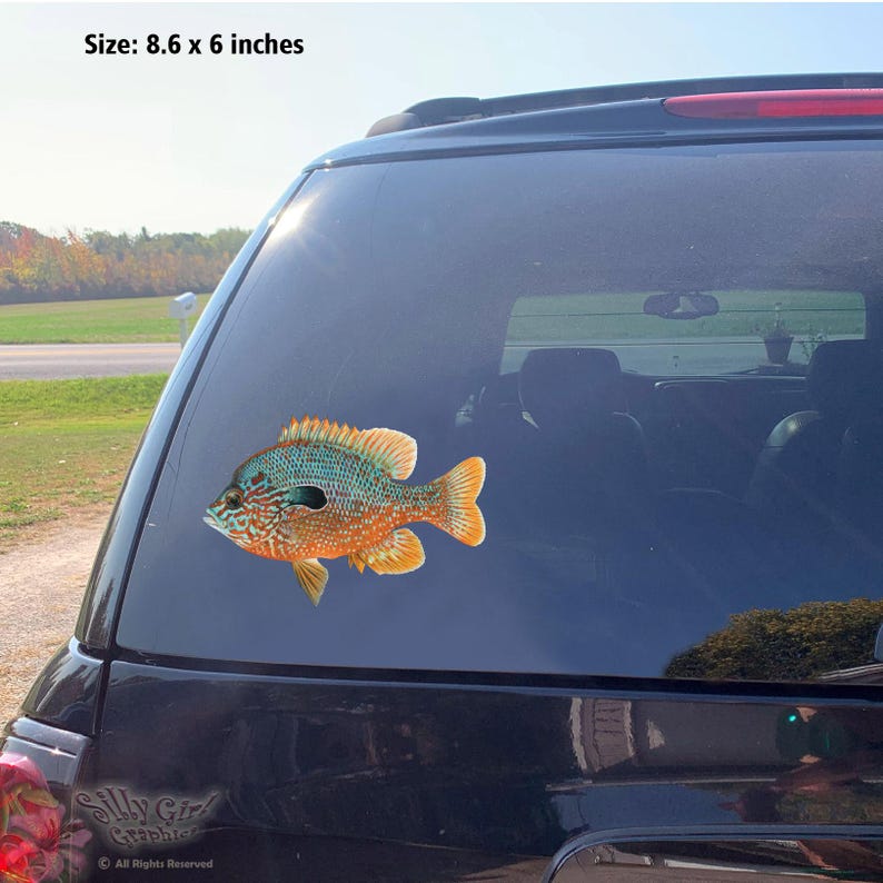 LONGEAR SUNFISH Decal, Waterproof Fish Sticker, Panfish, Sunnie, Sun ...