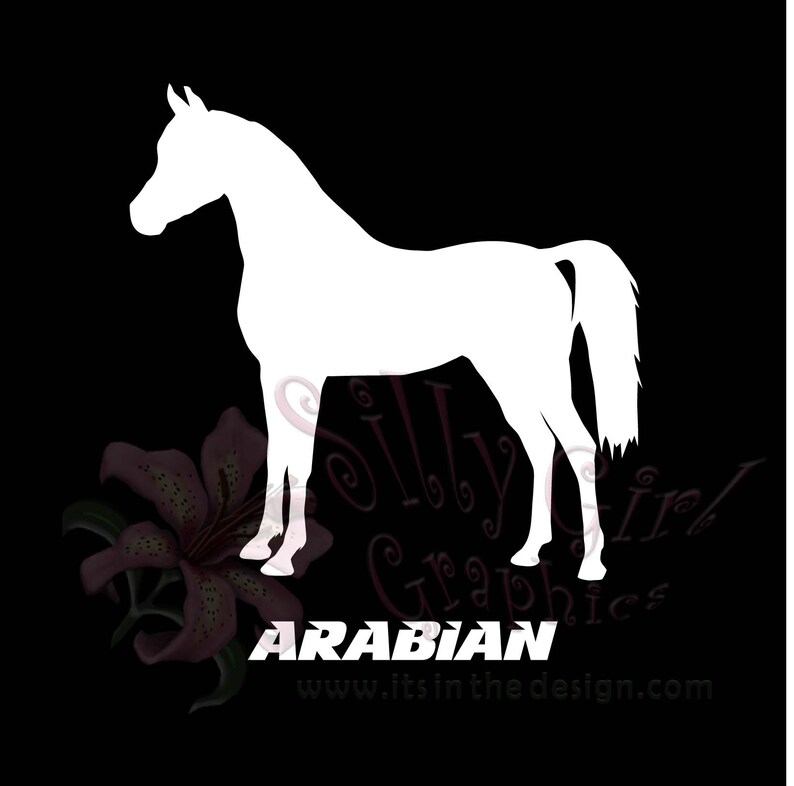 Decal HORSE BREEDS American Paint Appaloosa Arabian - Etsy
