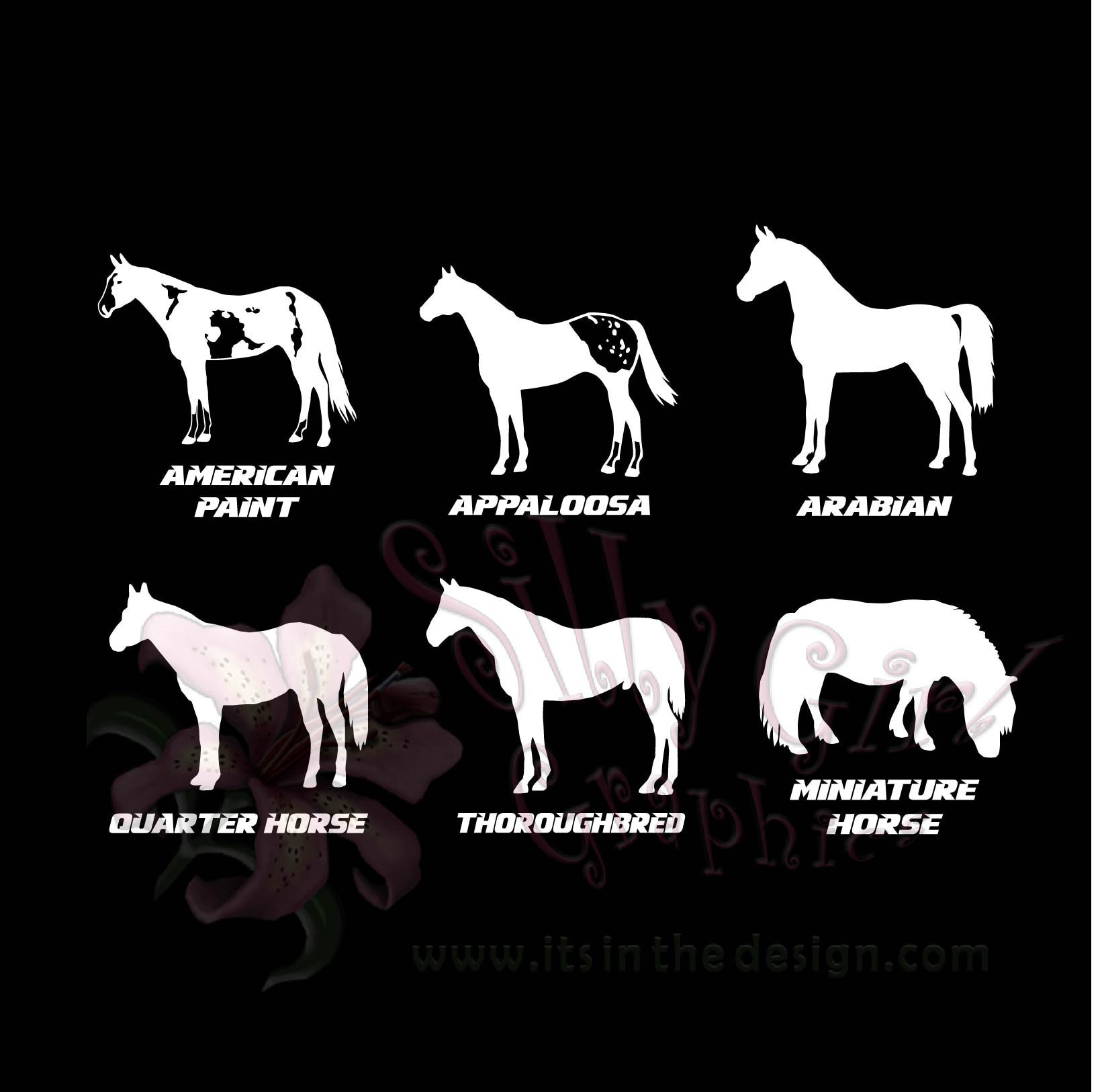 Decal HORSE BREEDS American Paint Appaloosa Arabian Etsy