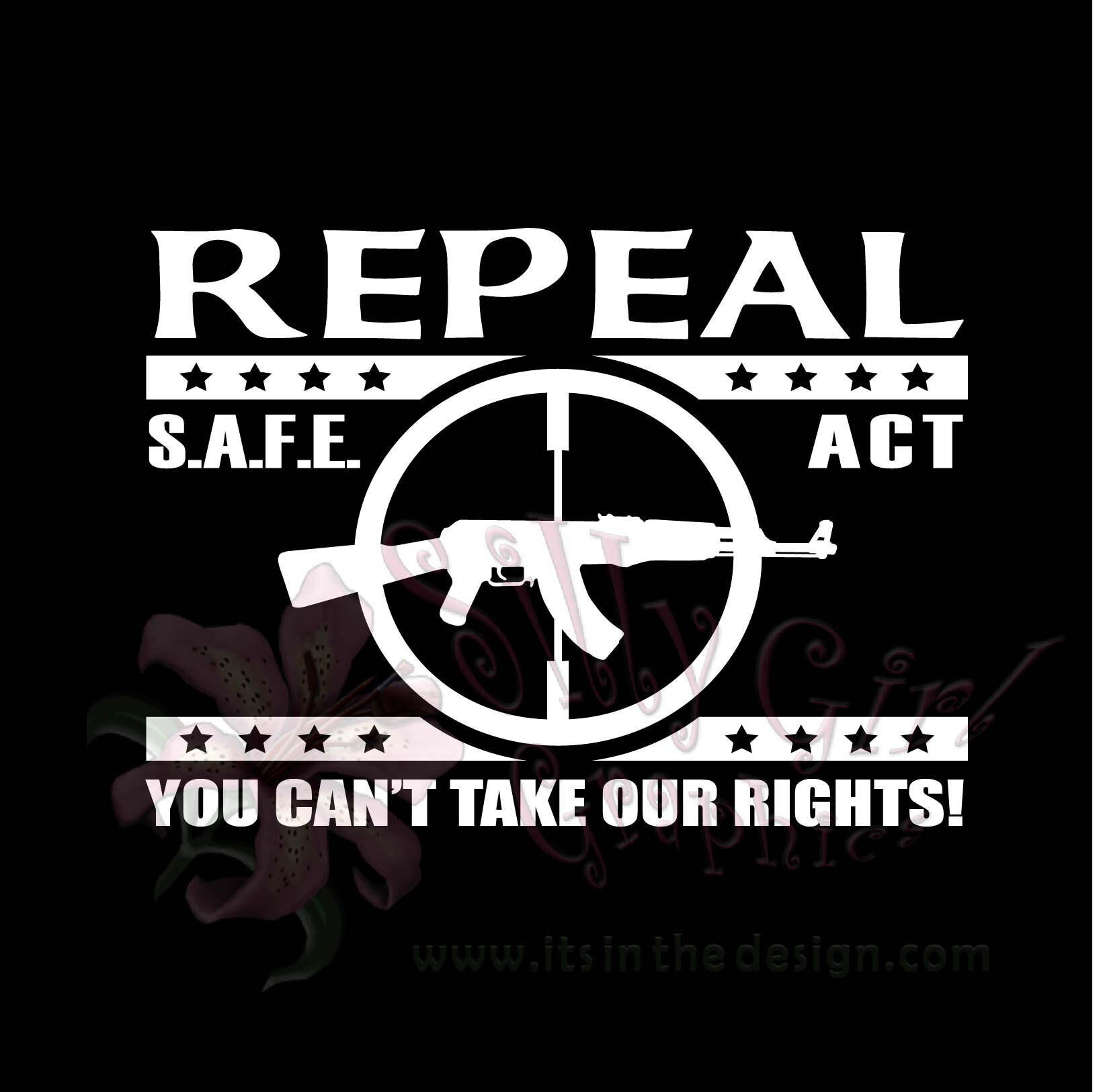 REPEAL NY Safe Act Guns Segunda Enmienda 2nd Etsy