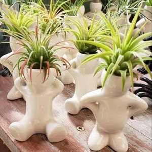 Simple People Air Plant holders, planters Home or Office decor FREE SHIPPING