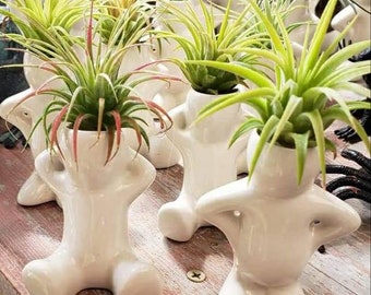 People Air Plant Holder, Unique Home Office Decor