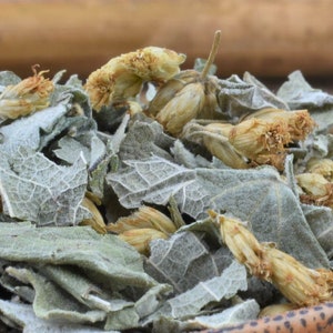 Super Fresh Dream Herb (Calea Zacatechichi) ⦁Lucid Dreaming ⦁Dream Recall ⦁Prophetic Dreams ⦁Shamanic ⦁Sacred | Leaf of God | NOW ORGANIC!