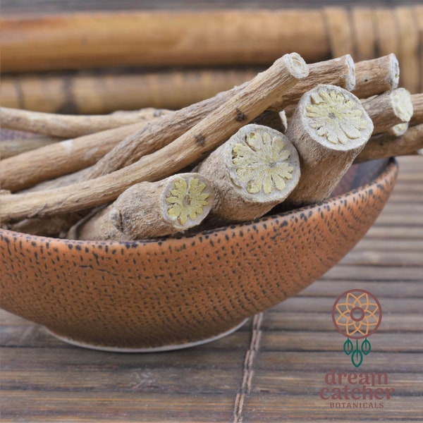 African Dream Root (Silene Capensis Undulata) ⦁Lucid Dreaming ⦁Better Recall ⦁Shamanic | Ethically Wild-Harvested Xhosa Roots | GALACTIVATE