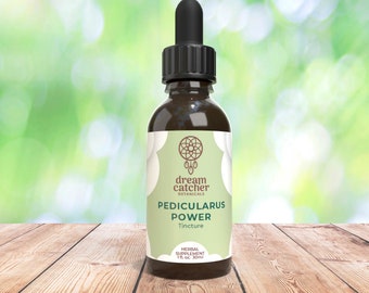 Indian Warrior Elixir Extract Blend 1oz | Indian Warrior Pedicularis Densiflora | Wild-Harvested