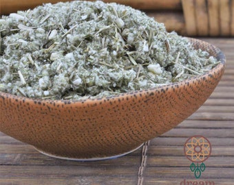 Lucid Mugwort (Artemisia vulgaris) ⦁Lucid Dreaming ⦁Dream Recall ⦁Prophetic ⦁Shamanic | Regular & Bright Green | LUCID DREAM TEA