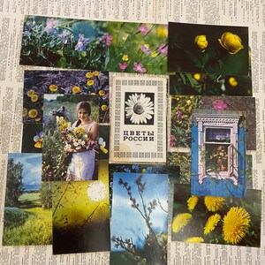 Fleurs de Russie, ensemble de cartes postales de cru représentant des fleurs rares, 72s