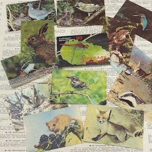 Ukrainian pocket calendars with animal birds and insects 1990