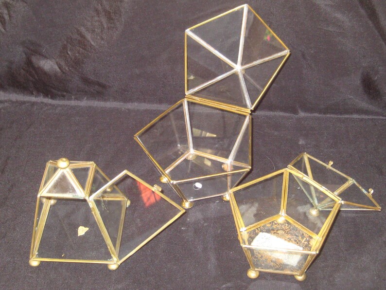 Vintage Brass Glass Box Hinged Lid Small Plant Terrarium Etsy