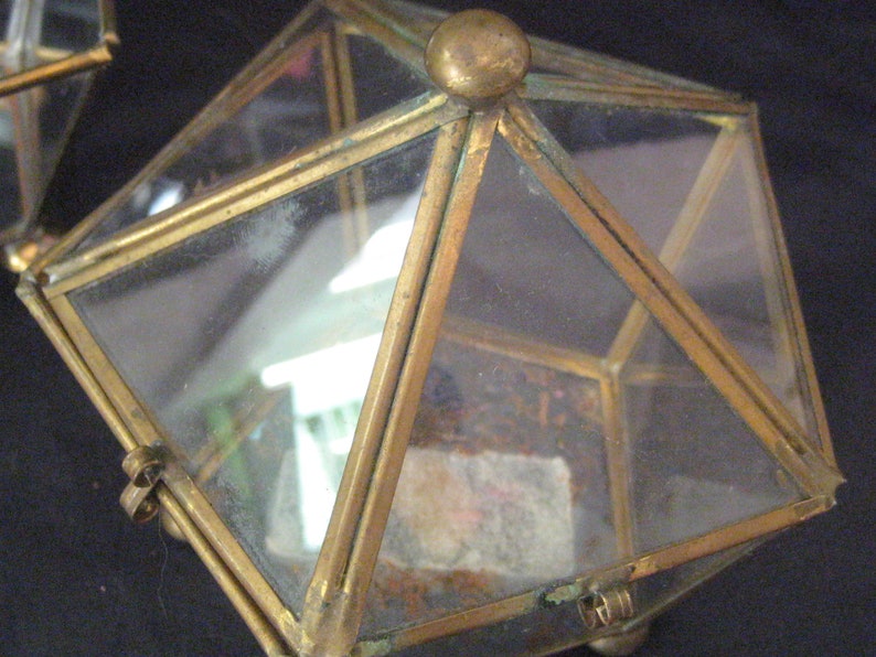Vintage Brass Glass Box Hinged Lid Small Plant Terrarium Etsy
