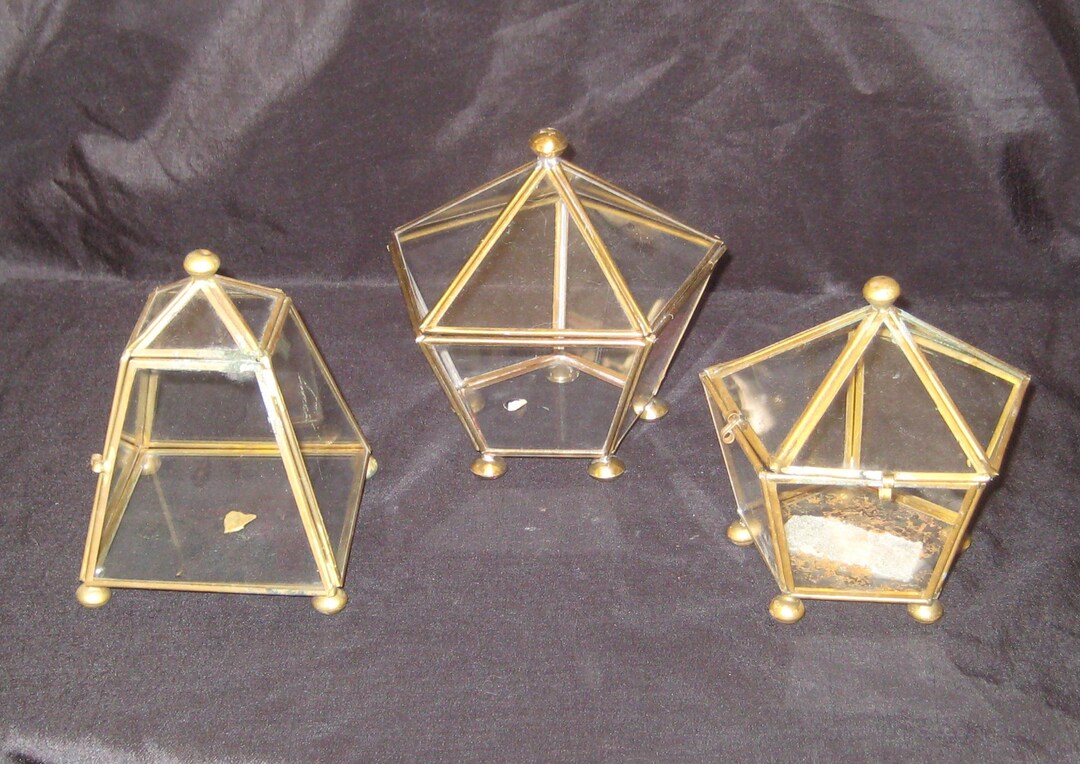 Vintage Brass Glass Box Hinged Lid Small Plant Terrarium Etsy