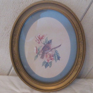 Stampa ovale incorniciata di un uccello, firmata da un dipinto ad acquerello, Homco anni &#39;80, cornice decorata in plastica dorata, decorazione da parete, beige blu, stile fattoria
