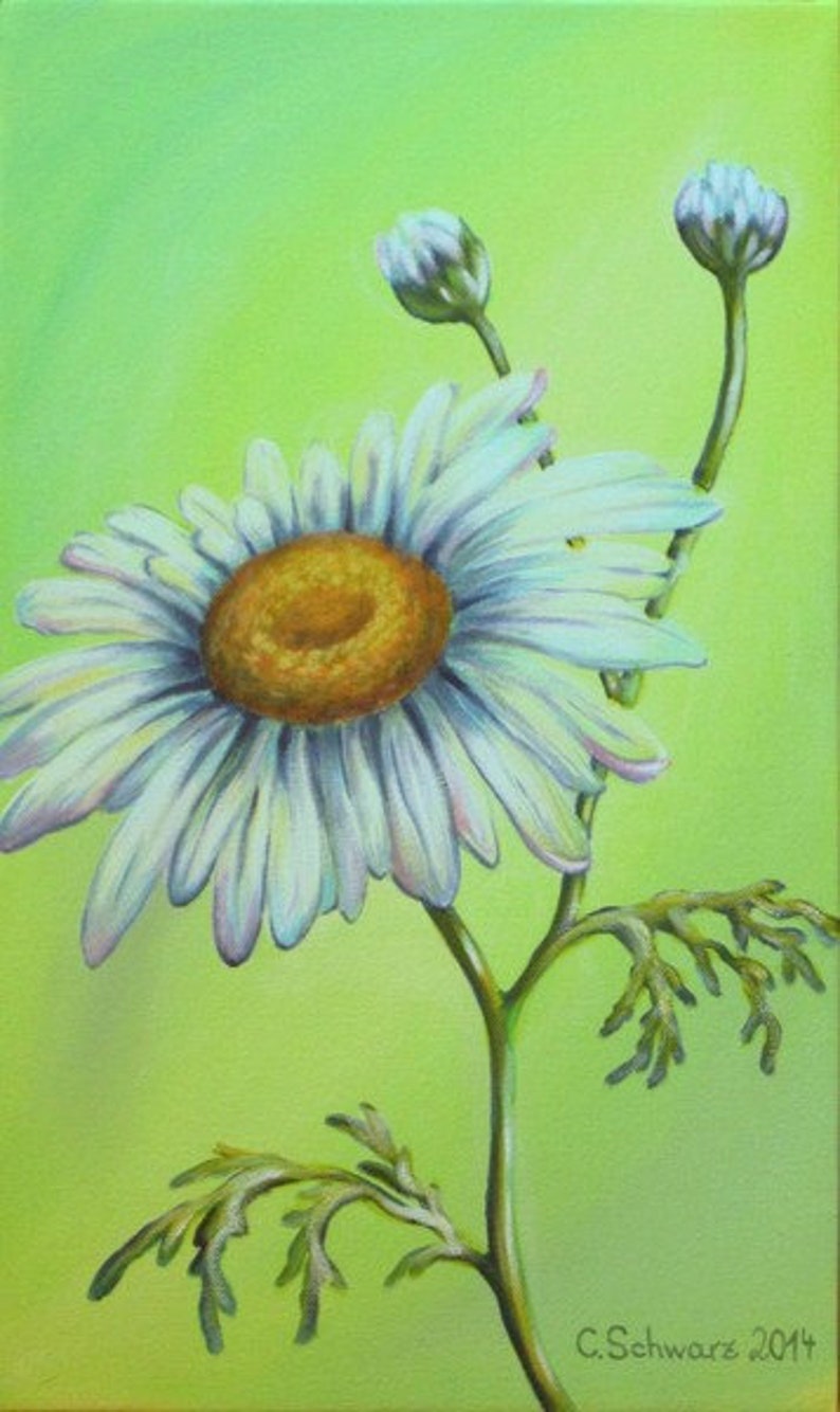 Acrylic painting Marguerite flower picture hand-painted art green picture original acrylic 30cmx50cm image 1