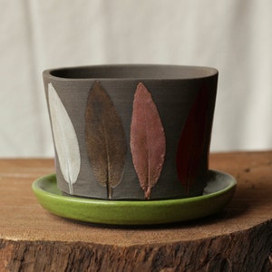 Rainbow sage leaf planter and saucer, black stoneware clay, wheel thrown, handmade image 4