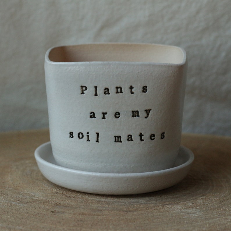 Desktop planter plants are my soil-mates Handmade Stoneware planterSucculent Planter perfect gift for a plant lover image 4