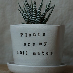 Desktop planter plants are my soil-mates Handmade Stoneware planterSucculent Planter perfect gift for a plant lover image 7