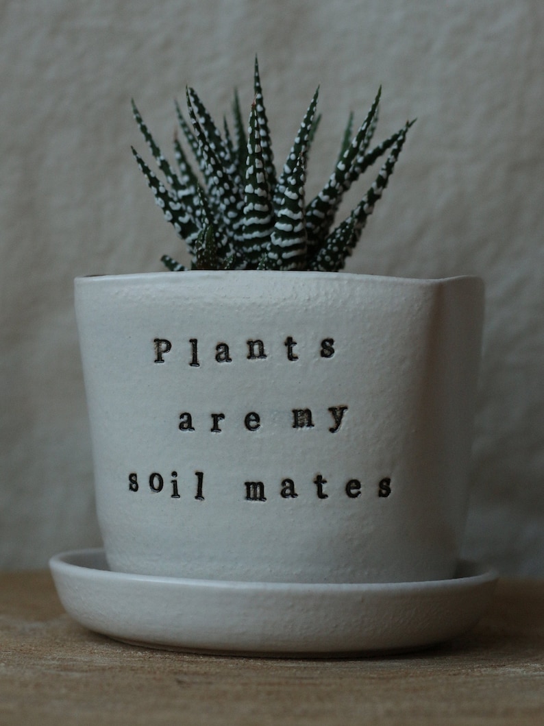 Desktop planter plants are my soil-mates Handmade Stoneware planterSucculent Planter perfect gift for a plant lover image 7