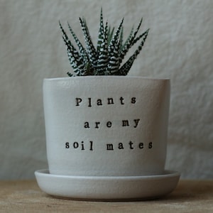 Desktop planter plants are my soil-mates Handmade Stoneware planterSucculent Planter perfect gift for a plant lover image 1