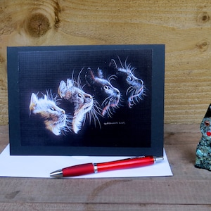 Carte d'anniversaire de chat, carte d'amoureux des chats, carte de chat duveteuse, carte de chat noir, carte de Maine coon, carte de chat noir et blanc, chat et lune, carte de chat Ragdoll
