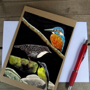 Cartão de saudação de pássaros britânicos, cartão de saudação de pássaros com um martim-pescador, uma Dipper e uma alvéola amarela, arte de pássaros em um cartão de felicitações,