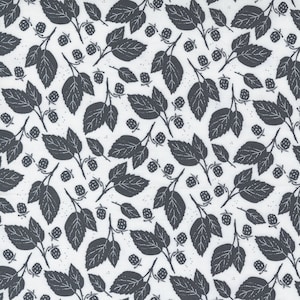 Midnight in the Garden Mist Charcoal (43125 21) designed by Sweetfire Road