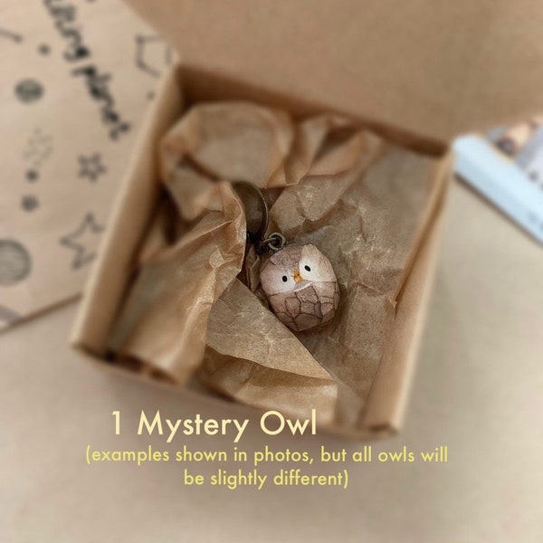 Mystery*** Brown Owl Progress Keeper for knitting or crochet (1)