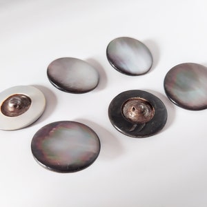 Sechs antike Abalone Perlmutt-Mantelknöpfe - 2,5 cm Durchmesser