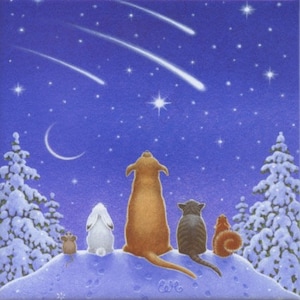 May include: Illustration of five animals, including a dog, cat, and rabbit, gazing at shooting stars in a starry night sky. The scene includes a crescent moon and snow-covered trees, creating a whimsical, wintery atmosphere.