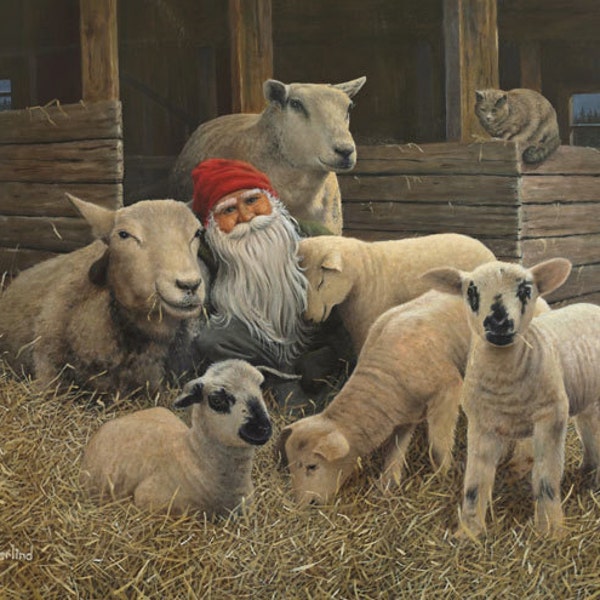 Swedish artist, Jan Bergerlind Tomte Gnome & Sheep Christmas Cards Box of 12 #JB542