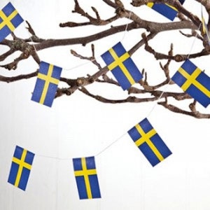 May include: A string of blue and yellow Swedish flags is strung across a white background. The flags are rectangular with a yellow cross on a blue background. The flags are hanging from a thin white string, and the background includes brown tree branches.