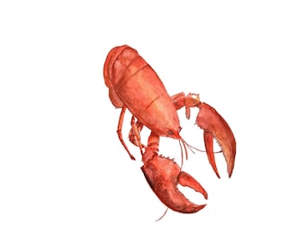 Red Lobster Acrylic Charm SMALL, Reproduction of My Original Hand-Painted Lobster Art, Preppy Charms for Jewelry Necklace Bracelet