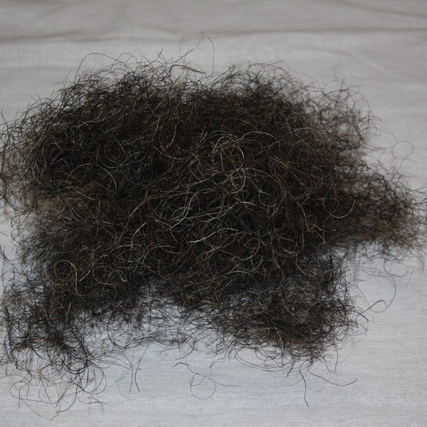 Horse Hair For Upholstering "One Pound"