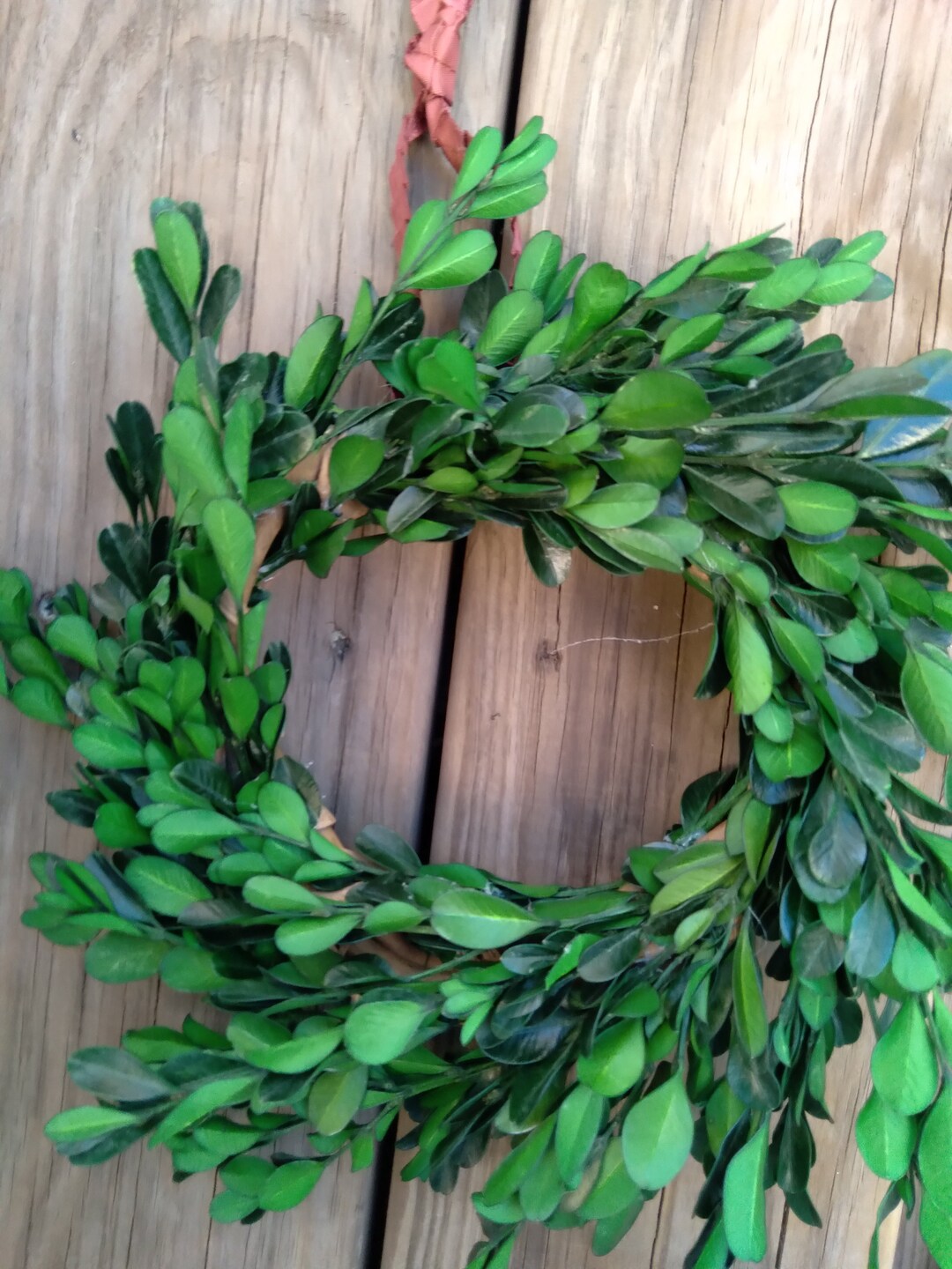 Boxwood Wreath 8 Front Door Wreath Window Wreath Etsy
