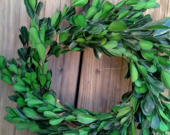 Boxwood Wreath, 8" Front Door Wreath, Window Wreath, Christmas Wreath, Holiday Wreath, Natural Wreath, Winter Wreath