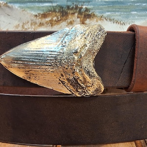 Megalodon Giant Mackerel Shark Tooth Fossil Buckle