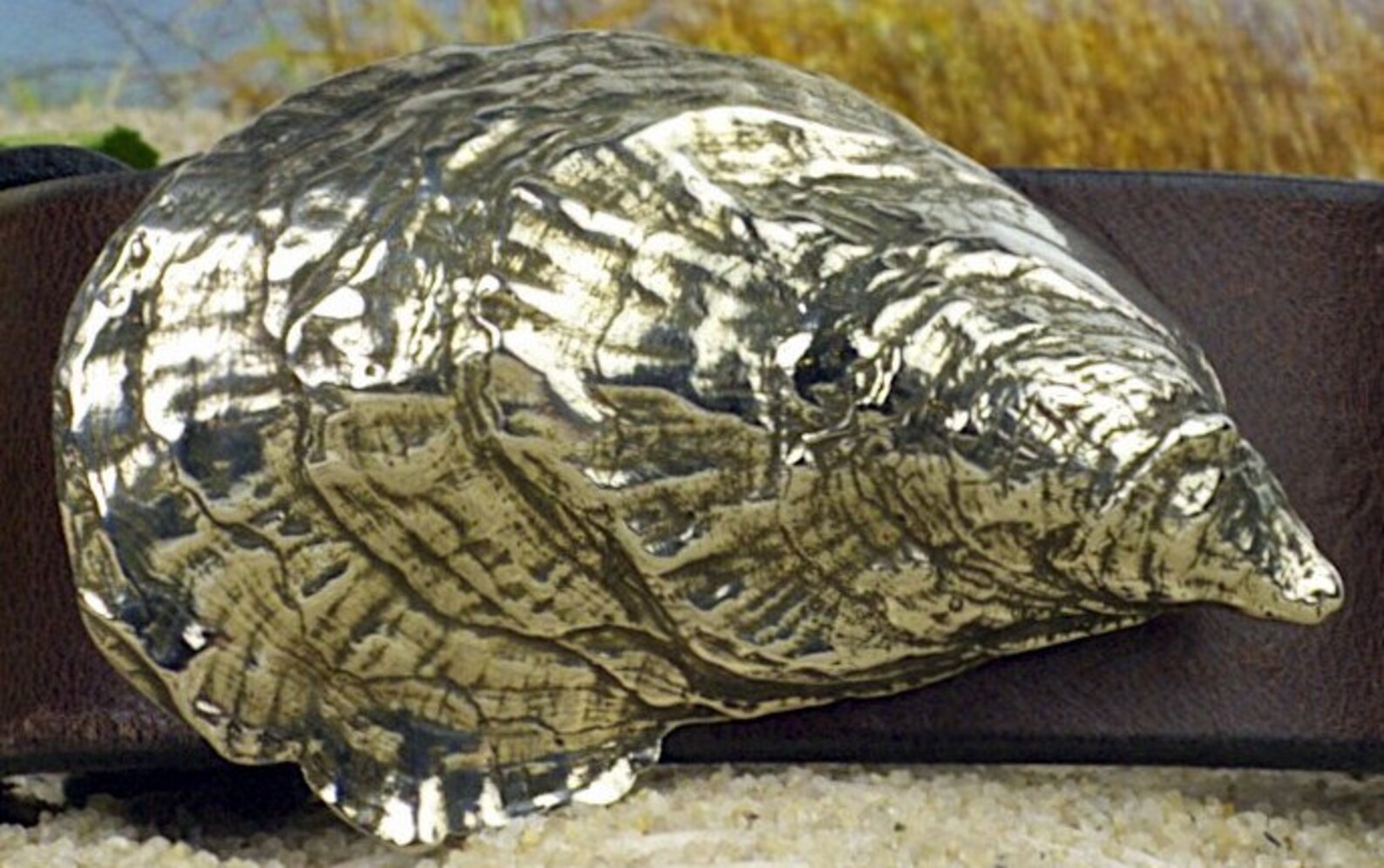 Duxbury Bay Oyster Shell Buckle Etsy