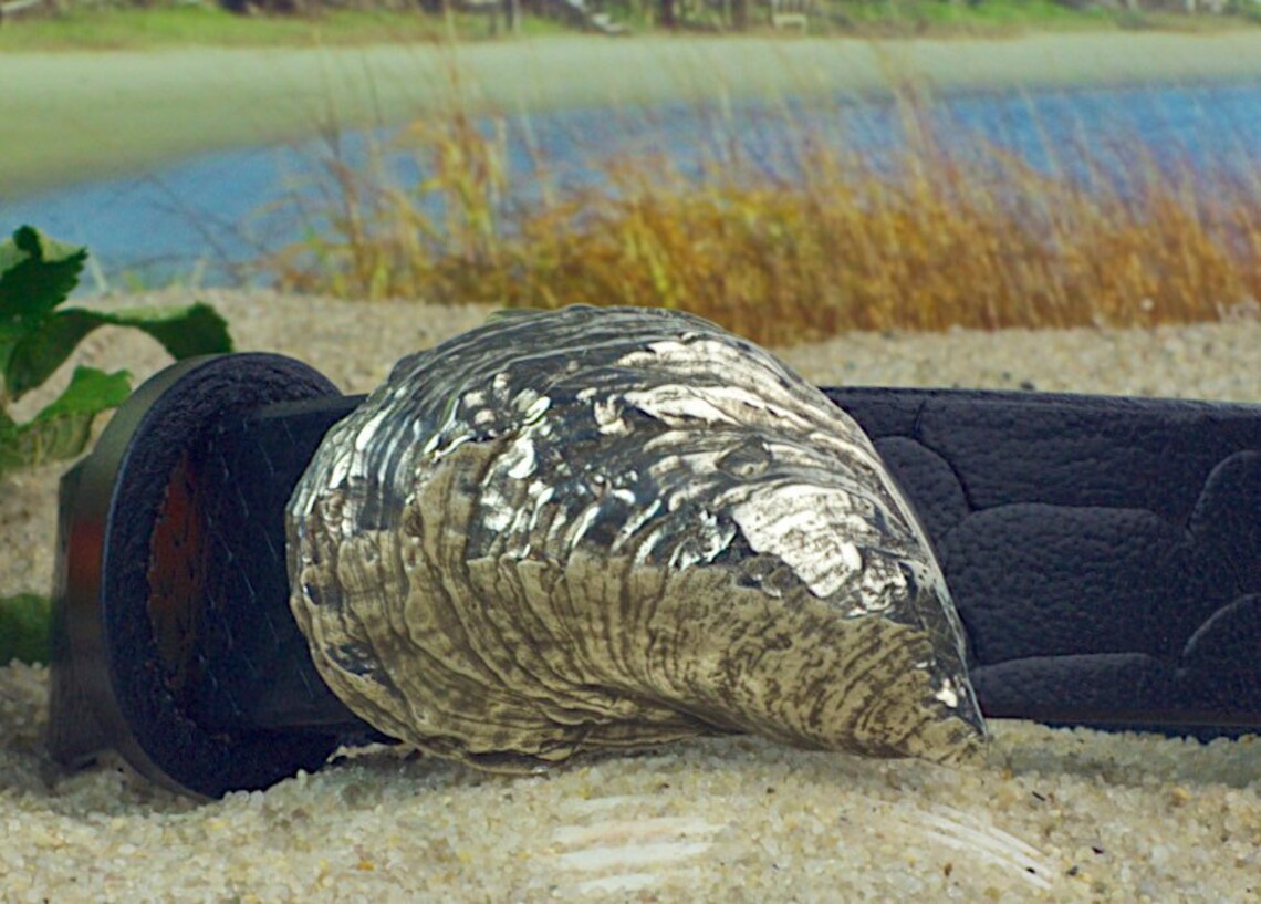 Duxbury Bay Tumbler Oyster Shell Leather Belt Etsy
