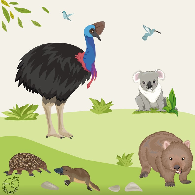 Muursticker Australië I. Kaukasische Frilled Lizard Wombat Platypus Echidna muursticker muursticker babykamer kinderkamer afbeelding 1