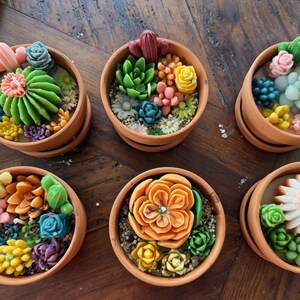 Succulent Terracotta Candles