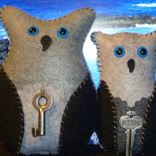 Romantic Journey and Dreams owl gift set wedding anniversary his and hers