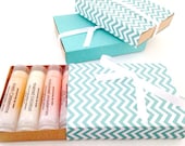 Macaron Lip Balm Gift Set - Choose 6 from 10 Flavors - French Macarons - Creamy Macaron Flavored Lip Balms - 100% Vegan